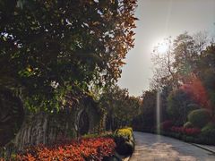 -杭州半山国家森林公园