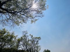 -贡湖湾湿地公园