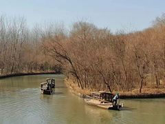 -溱湖国家湿地公园