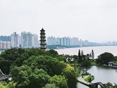 -江心屿景区