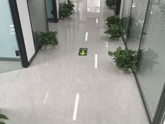 -新航道雅思托福·留学·考研培训(人民广场校区)