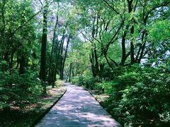 -东湖落雁景区
