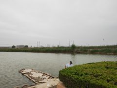 -大港湿地公园