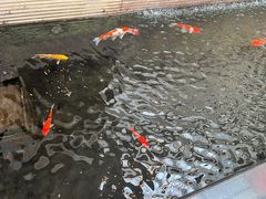 -天津波士信达奔驰4S店(卫津南路店)