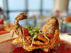 -大连君悦酒店·星海湾壹号Dalian·Dalian(星海广场店)