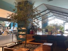 -Seesaw Coffee(深圳万象天地店)