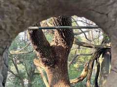 -绮园景区