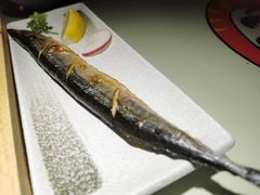 烤秋刀鱼-猛式料理嘉州新光天地店