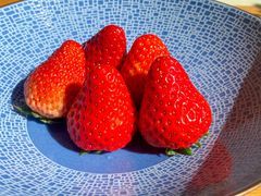 餐后水果-新荣记(西溪湿地店)