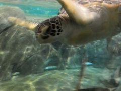 -福州罗源湾海洋世界旅游区