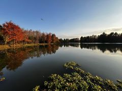 -上海海湾国家森林公园