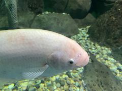 -苏州海洋馆