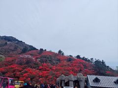 -木兰云雾山