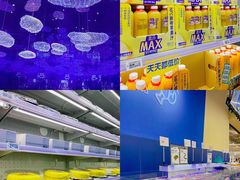 -盒马X会员店(上海森兰商都店)