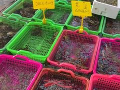 -众味海鲜大排档·活海鲜·潮汕味(南澳店)