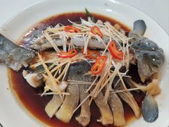 -煲来饱去冷水鱼