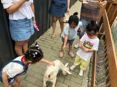 -太阳岛度假酒店