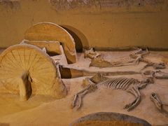 -洛阳周王城天子驾六博物馆