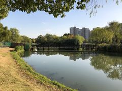 -新江湾城公园