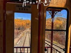 -莫尔道嘎国家森林公园