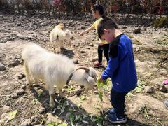-小鱼草莓采摘园农家乐·小鱼餐厅