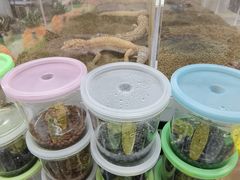 -三旗百汇商品城