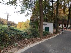 -午潮山国家森林公园