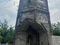 -上海佘山国家森林公园天马山园