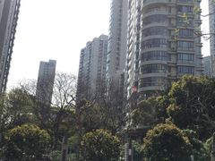 -新湖明珠城