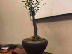 -王府茶宴(大观园总店)