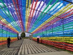 -塞罕坝国家级自然保护区