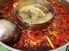-蛙两只美蛙鱼头火锅(恒茂店)