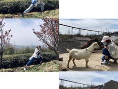 -四明山国家森林公园