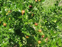 -蟠龙山长城景区