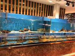 -蓝钻·国际美食海鲜自助百汇(西直门店)