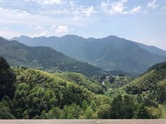 -杨家堂村