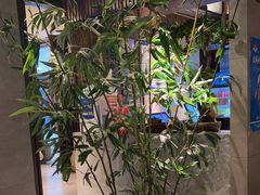 -老头儿油爆虾(星光一期店)