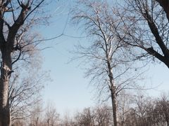 济南森林公园-济南森林公园