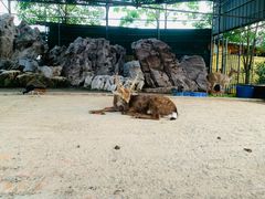 -八景休閒山莊  廣東十大名山莊
