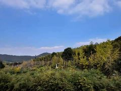 -旺山·浪头人家