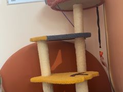 -宠爱国际动物医院·消化内科·心肾内科·ISFM猫友好(望京店)
