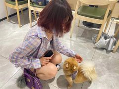 -ICEPOPO MILK(玖洲道店)