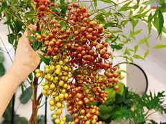 -森野花艺培训·企业团建活动沙龙