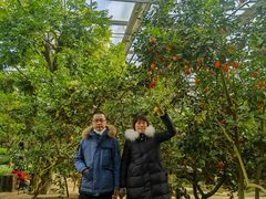 -南通洲际绿博园