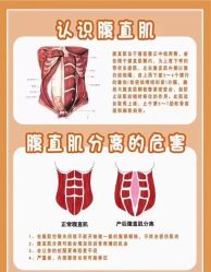-安院长·产后恢复·徒手骨盆(先天下店)