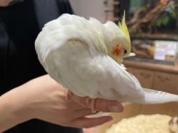 -Zoolung Zoolung动物主题公园(海信广场店)