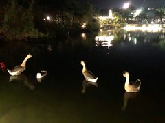 -水底山庄园温泉