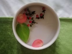 -梵隐SPA