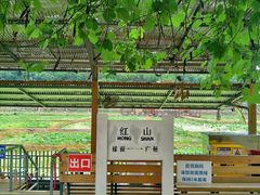 -红山村