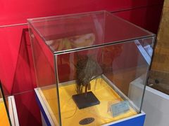 -上海昆虫博物馆